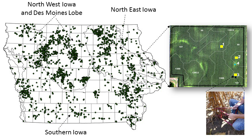 Locations of more than 3500 corn fields evaluated for post-season corn N status during a period from 2006 through 2014.